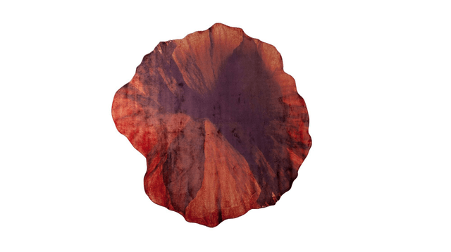 Roche Bobois Coquelicot - Architetto.Studio